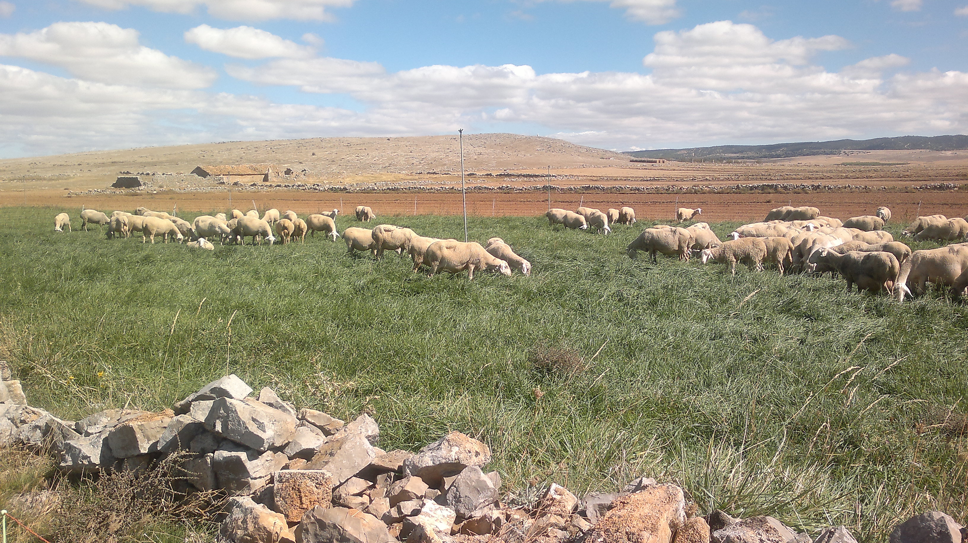 Rebaja del IRPF para el sector agrario