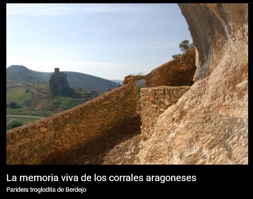 Magnífico libro sobre los corrales de ovejas y cabras en la provincia de Zaragoza