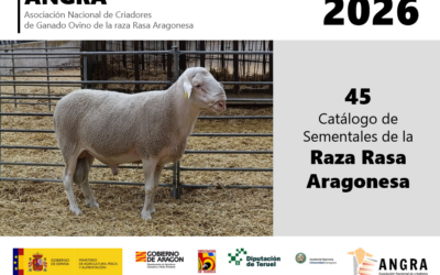 ANGRA publica una nueva edición del Catálogo de Sementales de Rasa Aragonesa